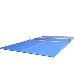 Ping Pong Table 