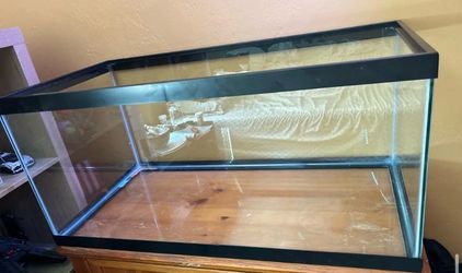 40 gallon tank