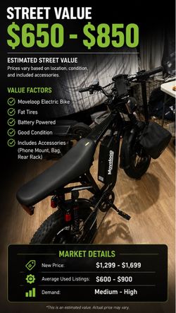 ELECTRIC BIKE W/ CHARGER
