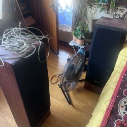 Sony Vintage Speakers