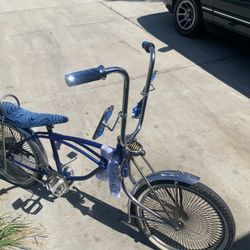 20 Inch Blue Schwinn