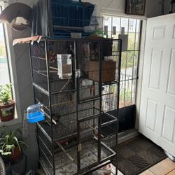 Bird Cage 