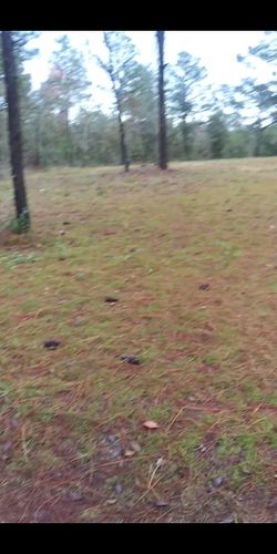 TERRENO BARATO EN BRONSON FLORIDA