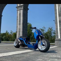 Honda Ruckus Clone ( Maddog) 