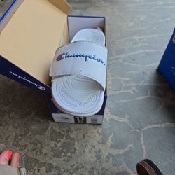 Champion Slides