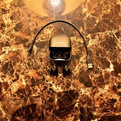 Bose QC Ultra Earbuds