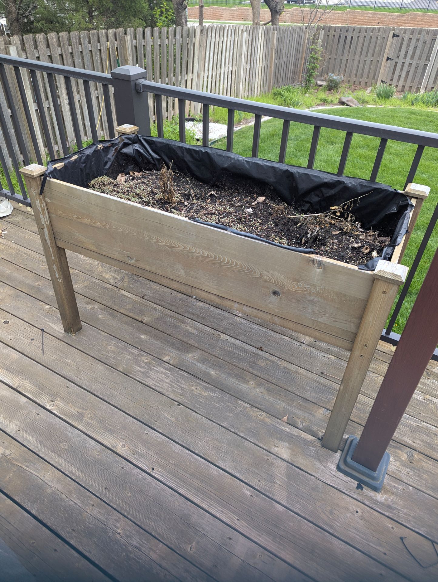 Cedar box