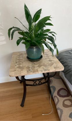Marble end table