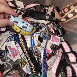 Dog Collars