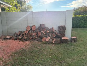 Large Pile of Cut Firewood Logs