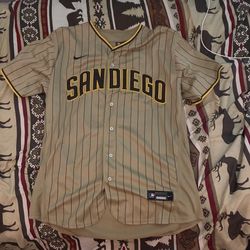 San Diego Padres Fernando Tatis Jr Jersey MLB Authentic Collection 