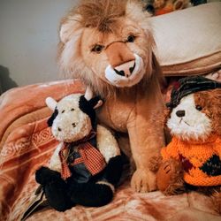 Stuffed Animal 