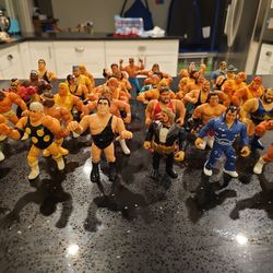 Vintage Hasbro WWF Figures.