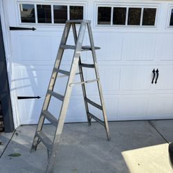Ladder 6 Feet 