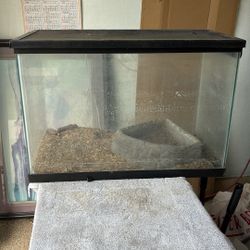 Peseta Para Tortugas Víbora O Peses