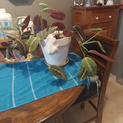 Raydon Pot says feeling happy
