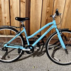 Schwinn median hybrid hotsell
