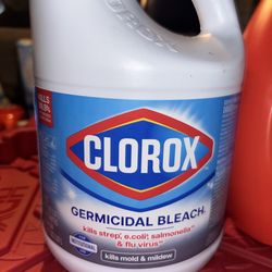 Clorox bleach