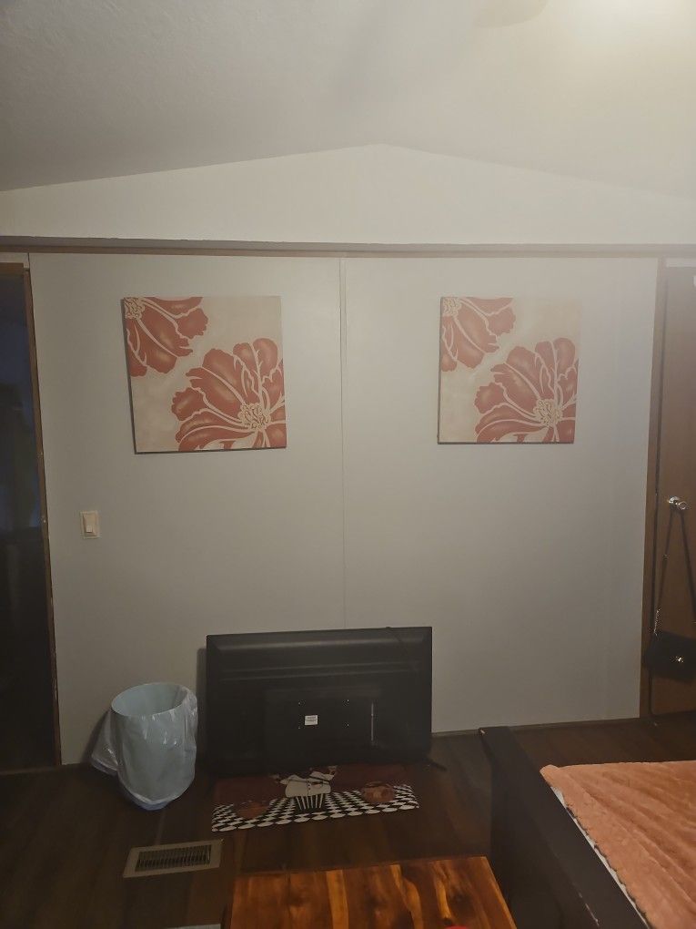 Two very nice pictures.Just changing the decor in my house