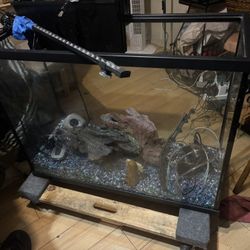 30 Gallon Fish Tank With Accessories