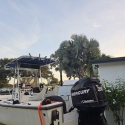 2011 Mercury Dfi 250 Optimax 