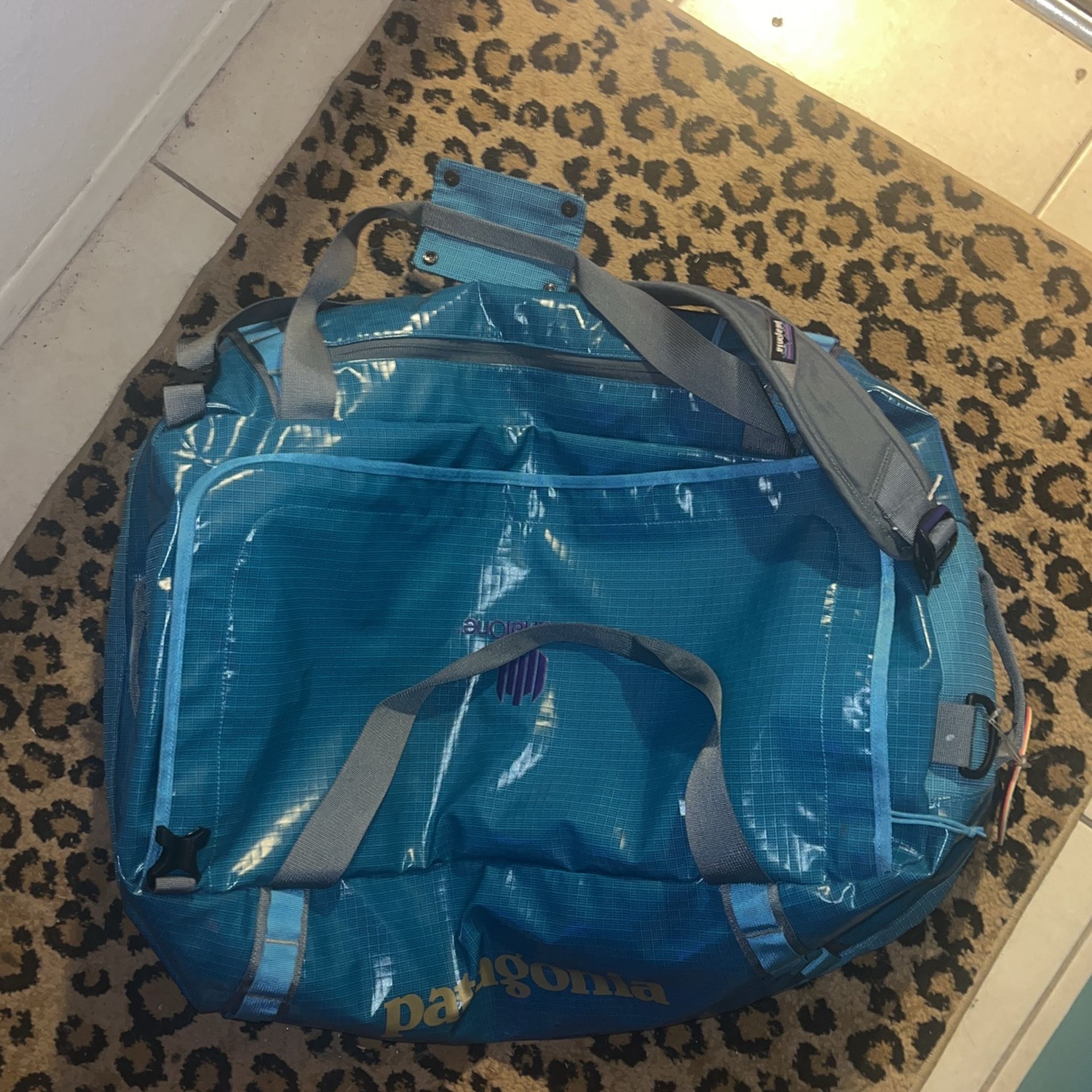 Patagonia Backpack