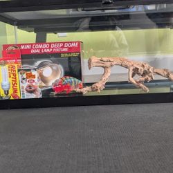 Bearded Dragon starter Kit 