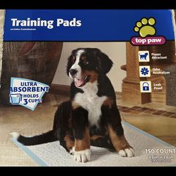 Training Pads Ultra Absorbent