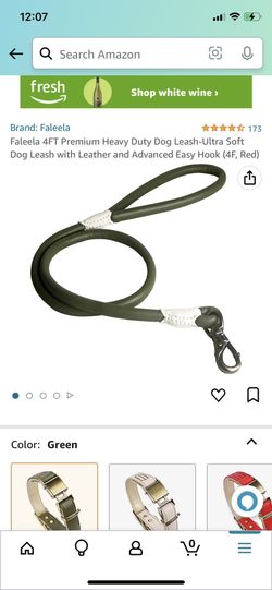 Heavy Duty Dog Leash Green 4ft