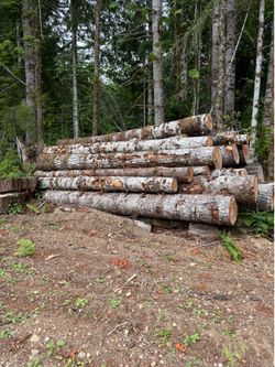 Firewood