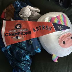 2017 World Series Astros Banner