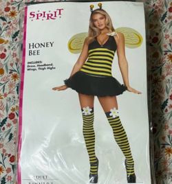 Honey Bee costume