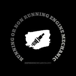 Lawnmower Chainsaws Etc. Check Description 