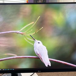 LG 4K 32 Inches Monitor With Ergo Stand 