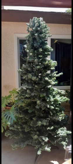 Christmas tree $100
