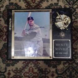 Mickey Mantle