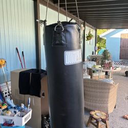 Punching Bag for sale