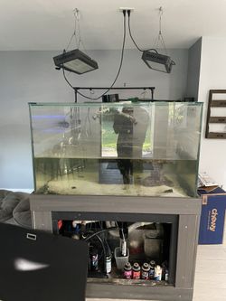 250 Gallons Aquarium