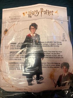 Harry Potter costume