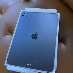 iPad Pro 11 M4 256gb Wi-Fi