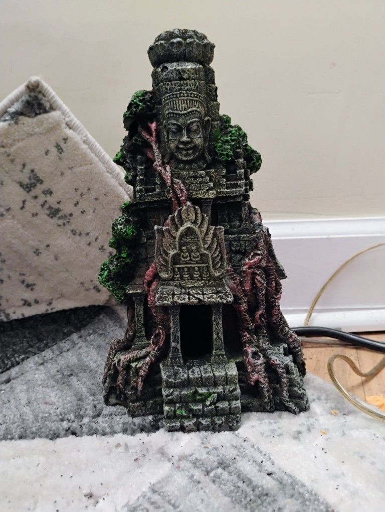 Fish Tank Decor And New Plants- Cash only