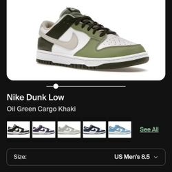 Nike DUNK MENS SIZE 9