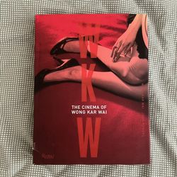 The Cinema of Wong Kar Wai book