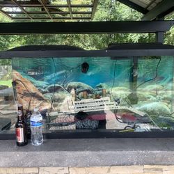 Fish Tank 