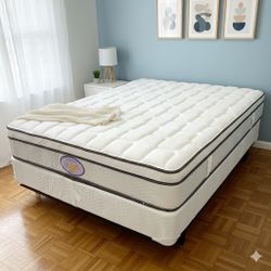 New Queen  Mattress And Box Spring 2 Pc Bed Frame Is Not Included 