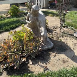 Fountain, Plants