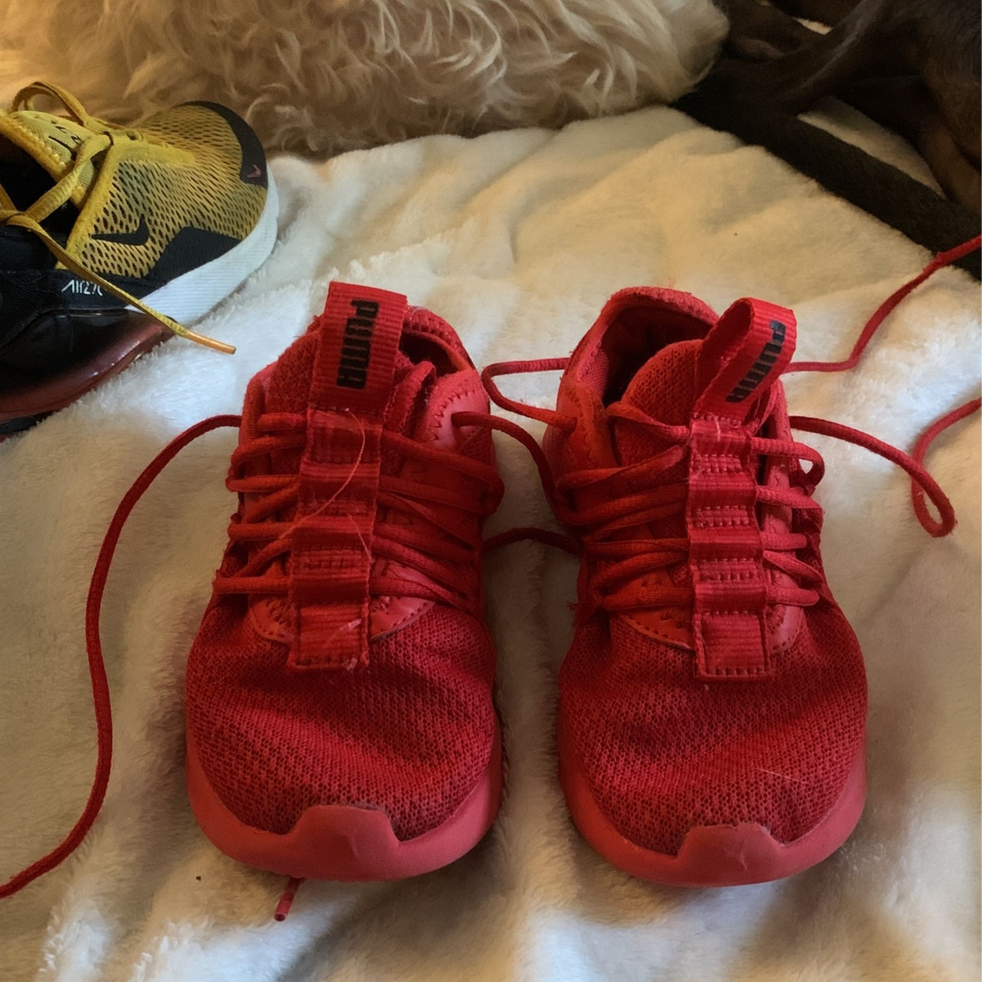 Young Boys Red Puma Size 10