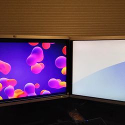 Paired match dual HP 24 widescreen LCD monitor  1920*1200