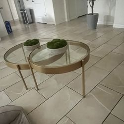 2 Living Room Tables 