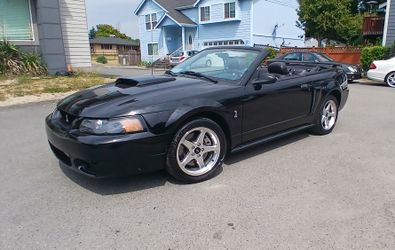 2003 Ford Mustang